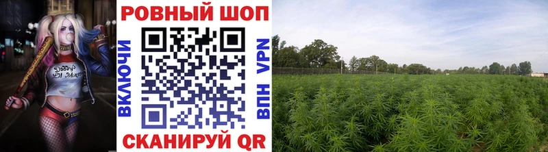 Наркошоп Верхняя Тура Кокаин ГАШ Псилоцибиновые грибы НБОМе Канабис