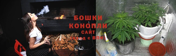 трава Белокуриха