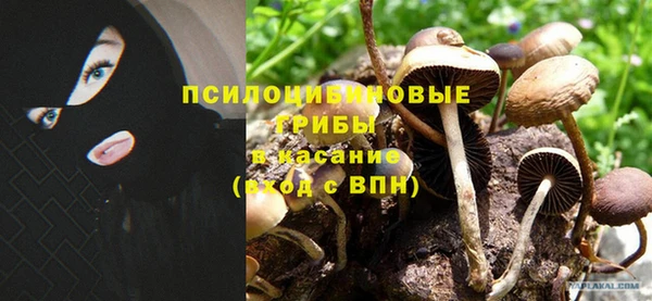 каннабис Богородск