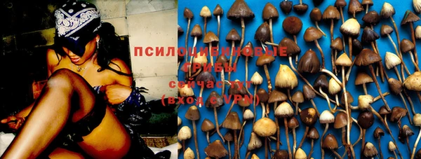 круглые Богданович