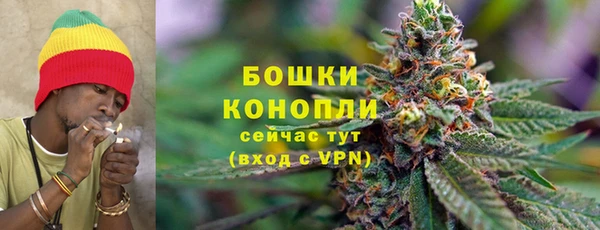 дживик Белоозёрский