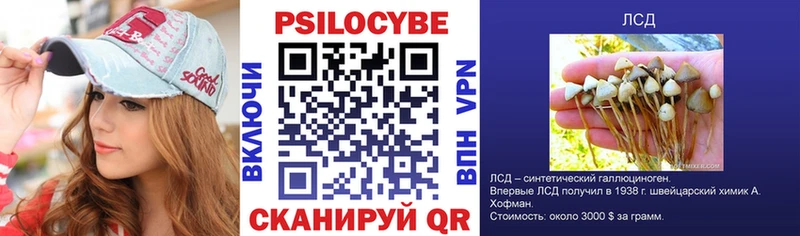 Галлюциногенные грибы Psilocybe Верхняя Тура