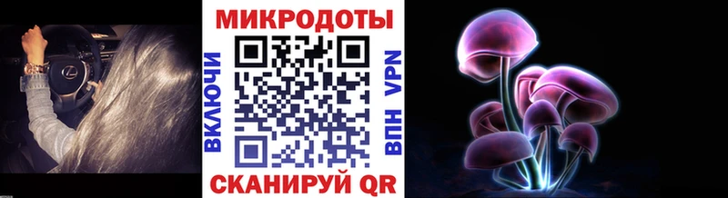 Галлюциногенные грибы мицелий  Верхняя Тура 
